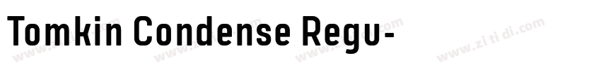 Tomkin Condense Regu字体转换 Tomkin Condense Regu字体转换